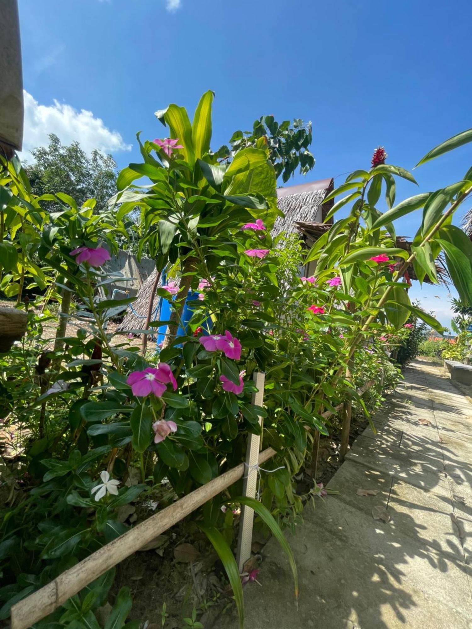 Phuketairportcamping Hotel Ban Bo Sai Klang ภายนอก รูปภาพ
